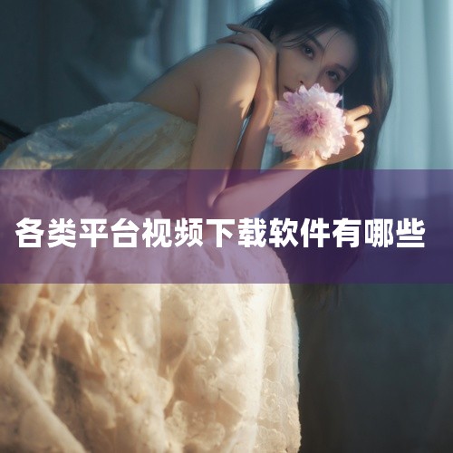 1. 哔哩哔哩下载工具 哔哩哔哩下载工具是一款专为下载哔哩哔哩网站视频而设计的软件。它支持多种格式的视频下载，操作简单，下载速度快，是下载哔哩哔哩视频的首选工具。2. YouTube视频下载软件 Yo|