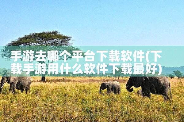 手游去哪个平台下载软件