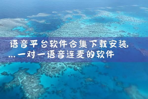 语音平台软件合集下载安装