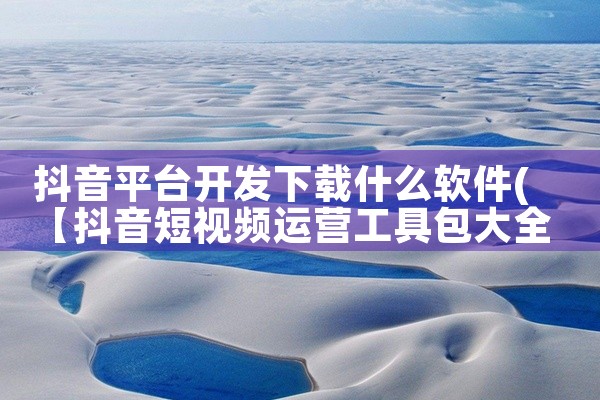 抖音平台开发下载什么软件