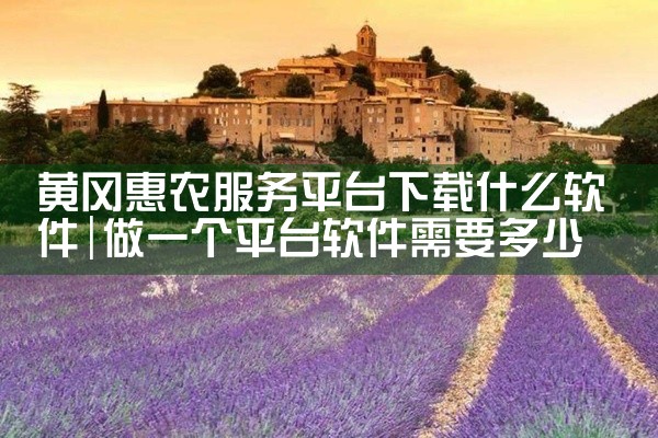 黄冈惠农服务平台下载什么软件