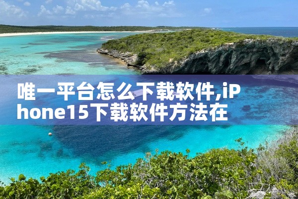 唯一平台怎么下载软件