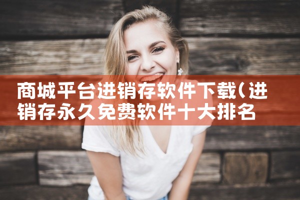 商城平台进销存软件下载