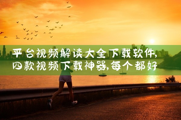 平台视频解读大全下载软件