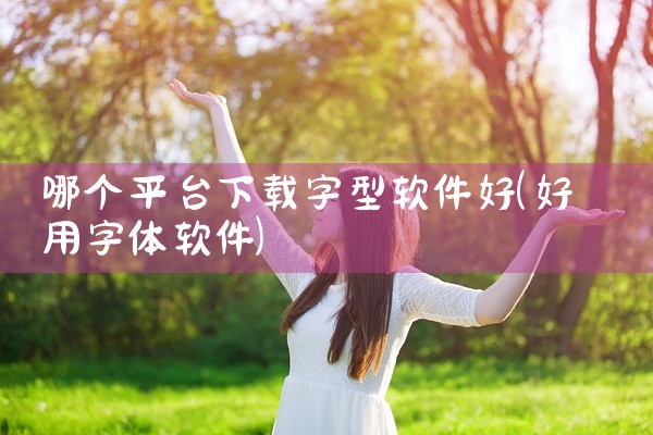 哪个平台下载字型软件好