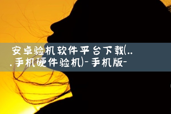 安卓验机软件平台下载