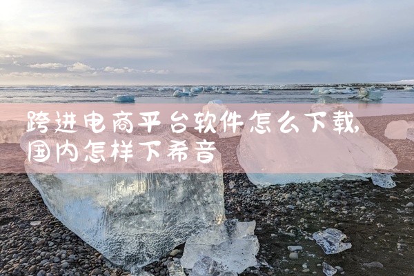 跨进电商平台软件怎么下载
