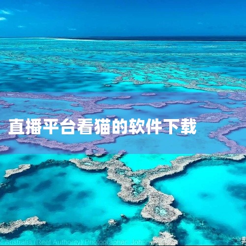 小猫直播是一款手机直播软件，可以让用户观看和分享直播内容。要下载小猫直播，你可以按照以下步骤进行操作：1. 打开应用商店：如果你使用的是苹果手机，打开App Store；如果是安卓手机，打开Googl|