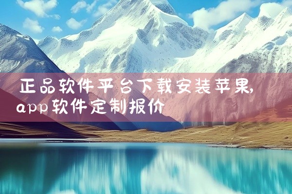正品软件平台下载安装苹果