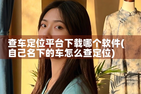 查车定位平台下载哪个软件