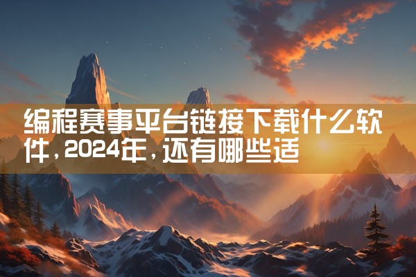 编程赛事平台链接下载什么软件