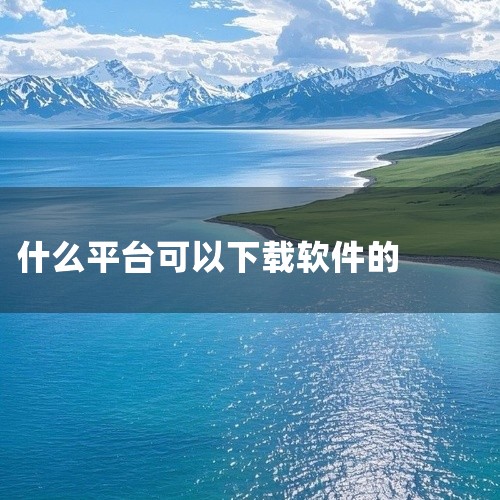 能下载软件的平台有哪些,下载软件的是哪一个,