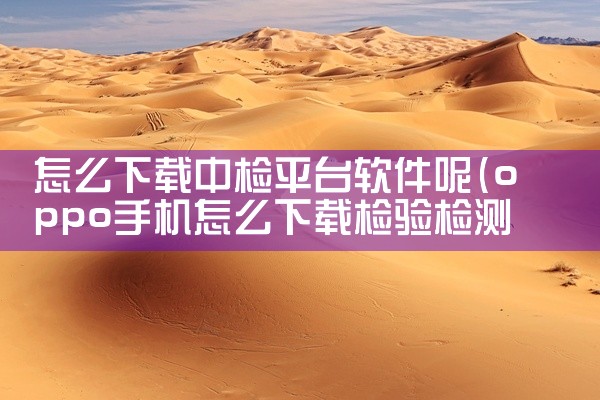 怎么下载中检平台软件呢