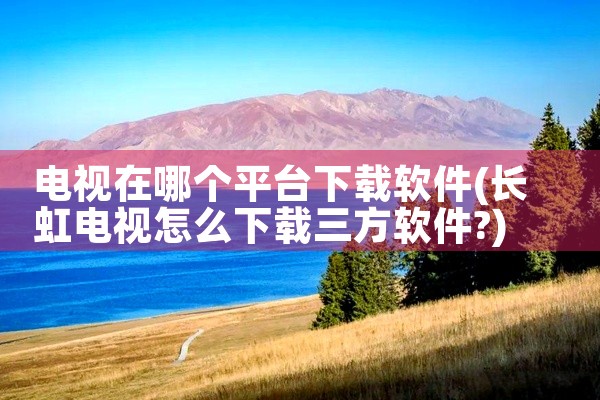 电视在哪个平台下载软件