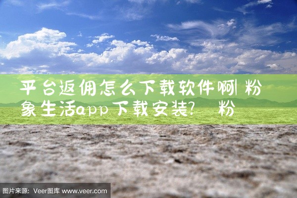 平台返佣怎么下载软件啊