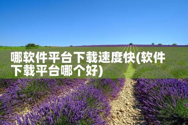 哪软件平台下载速度快